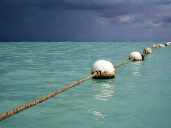 Floteur sur eau turquoise Negril Jamaique
