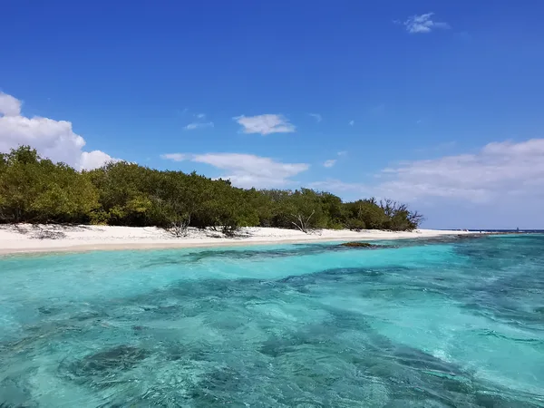 Bob Marley Museum à Kingston en Jamaïque