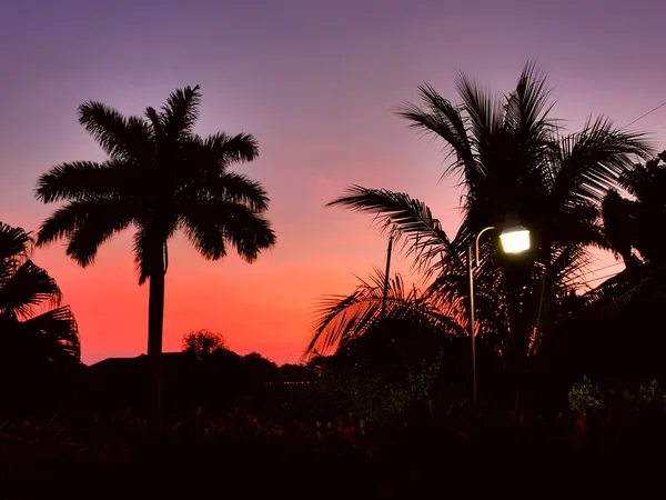 Montego Bay — paysage