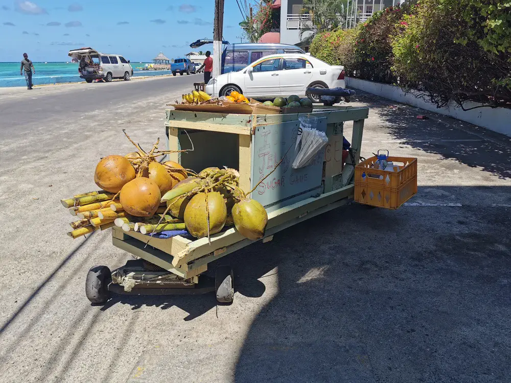 pushcart jamaique