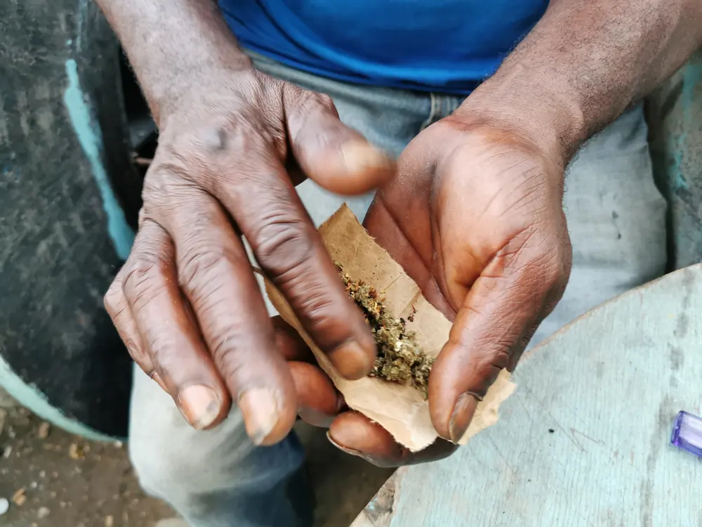 Rastafarian use brown paper jamaique