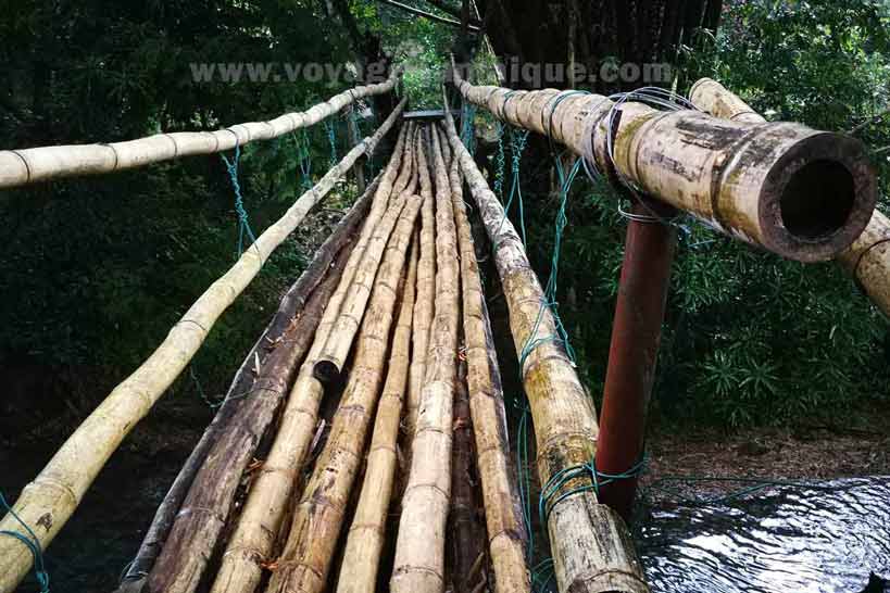Pont bambou Jamaïque