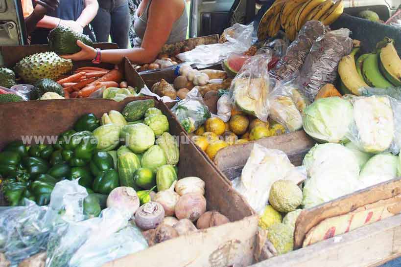 Livreur fruits et légumes Jamaïque