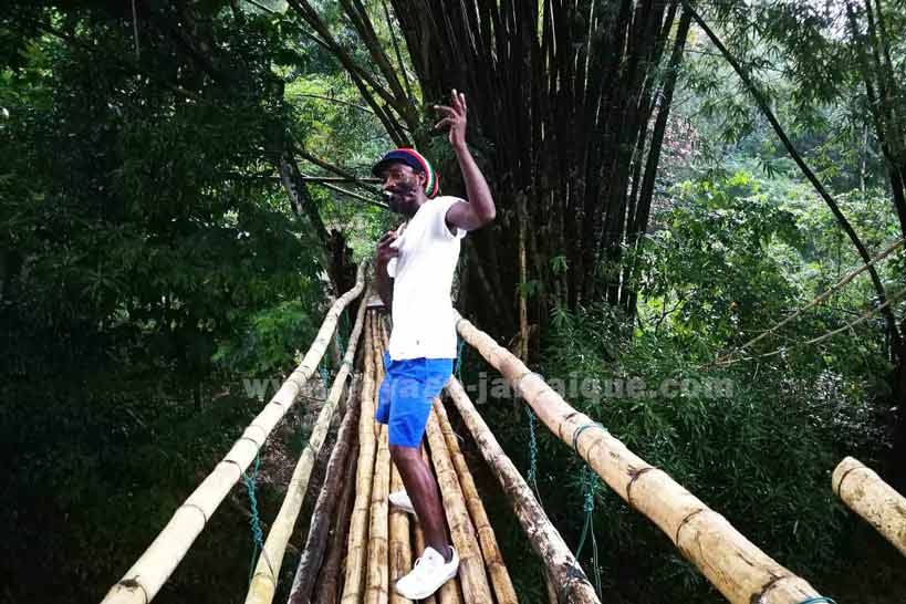 Rasta pont de bambou Jamaïque